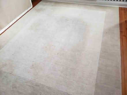 Photo of free Soft rug - 120 * 97 inch (Petworth) #1