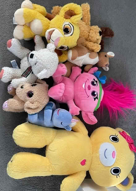 Photo of free Soft toys (North Gyle EH12) #1