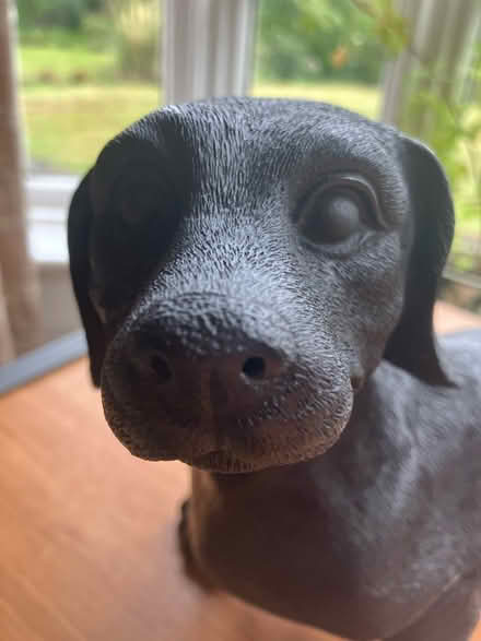 Photo of free Solar powered sausage dog light (Southport PR9) #2