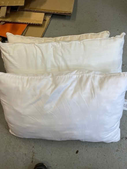 Photo of free Pillows for pet beds (Blakebrook DY11) #1