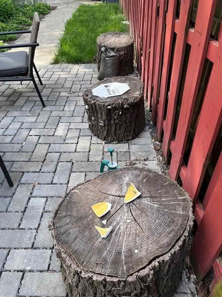 Photo of free Tree Logs - Seating or Planters (Fairlawn/Anacostia) #2