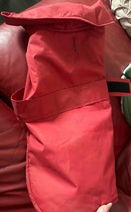 Photo of free Dog jackets (G78) #3