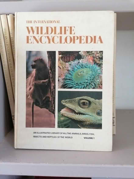 Photo of free Set of wildlife encyclopaedias (Frome BA11) #2