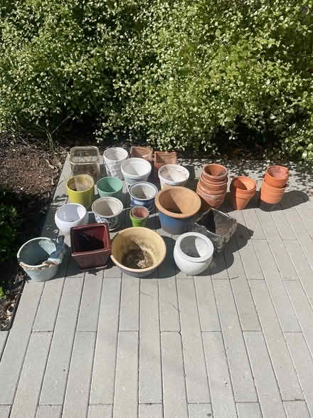 Photo of free Lots of smallish pots (Larkspur) #1