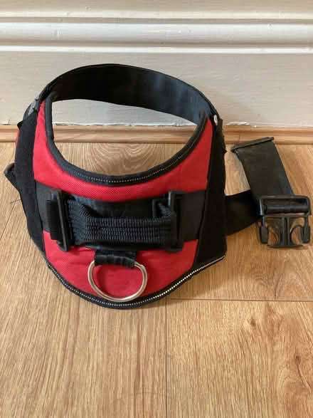 Photo of free Red dog harness, size large (Handforth, SK9) #1