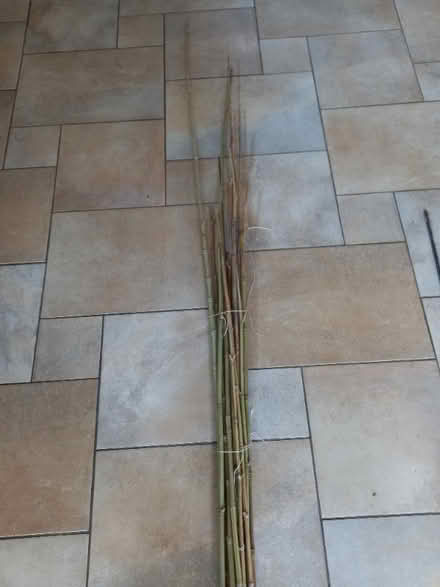 Photo of free Bundle of bamboo canes (Old Road OX3) #1