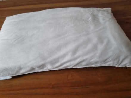Photo of free Pillow (Forest Gate E7) #1