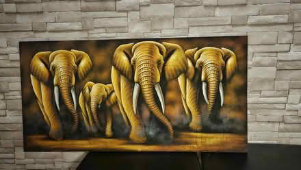 Photo of free Elephant Canvas (Near sobeys , woodstock ont) #1