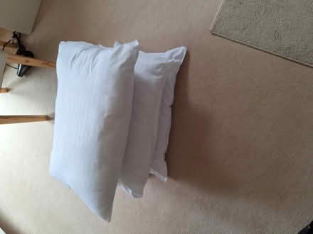 Photo of free Pillows (Monkseaton NE25) #1