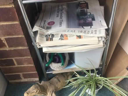 Photo of free Used clean newspapers (Cove West Heath GU14) #2