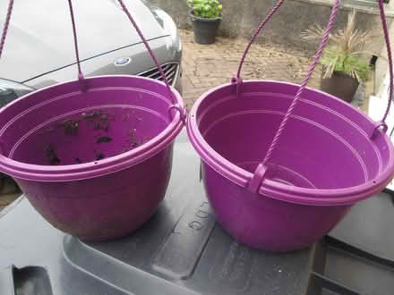 Photo of free 2 Purple Hanging Baskets (Oxenholme LA9) #1