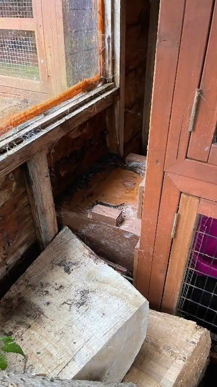 Photo of free Rabbit hutches (AB22) #4