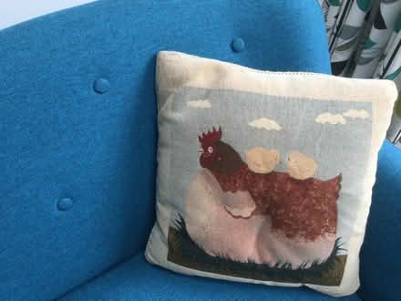 Photo of free Cushions (Harrogate HG1) #2