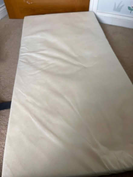 Photo of free Children’s cot mattress (M33) #1