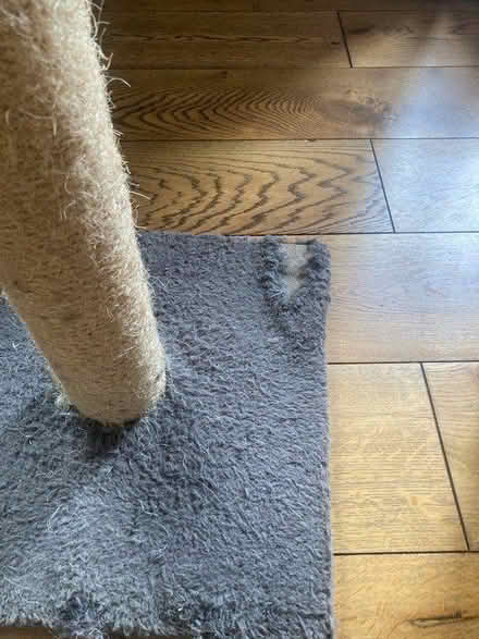 Photo of free Large cat scratching post (Emerson’s Green BS16) #2