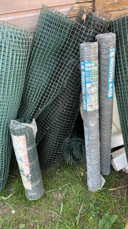 Photo of free Green Garden netting (Costessey NR8) #2