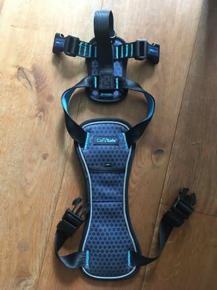Photo of free Car Safe dog harness (Acton Central W3) #1