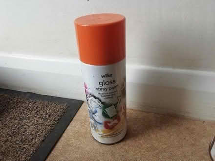 Photo of free Gloss paint (Belper DE56) #4