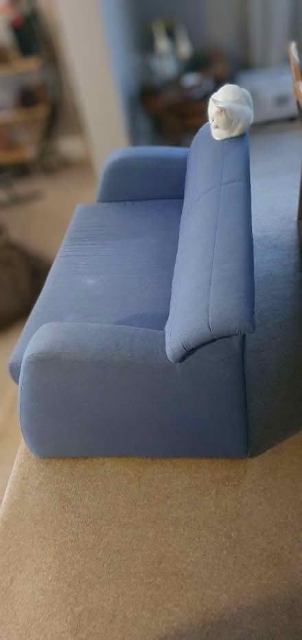 Photo of free 2 person sofa bed, blue (Kings Langley) #1