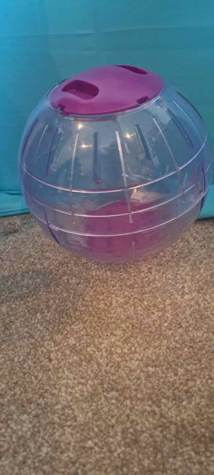 Photo of free Hamster ball (Warwick CV34) #1