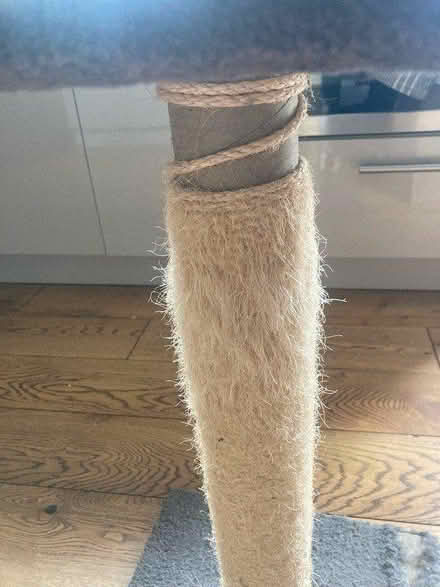 Photo of free Large cat scratching post (Emerson’s Green BS16) #3