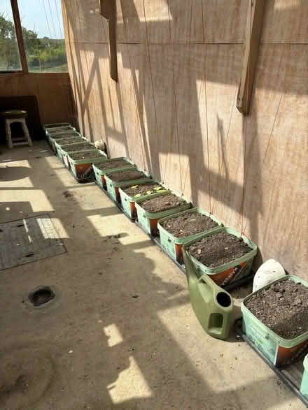 Photo of free Empty lick buckets (IP19 Chediston) #2