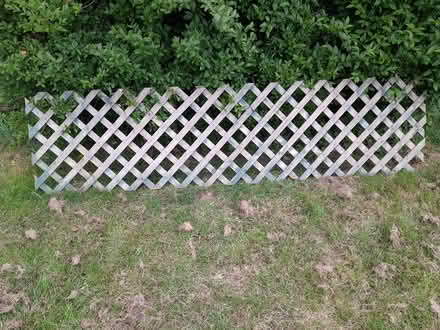 Photo of free Trellis 8' x 2' (Spring Lane estate, Canterbury) #1