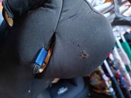 Photo of free Two stage 1-4 car seats (Doxey ST16) #1