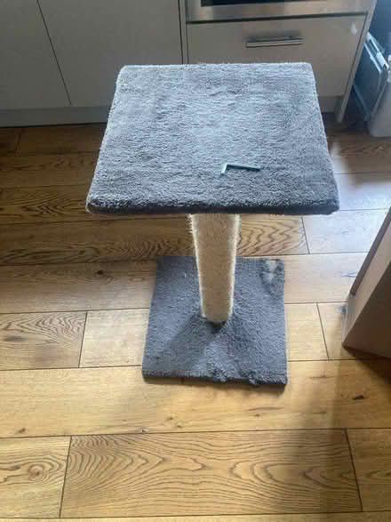 Photo of free Large cat scratching post (Emerson’s Green BS16) #1