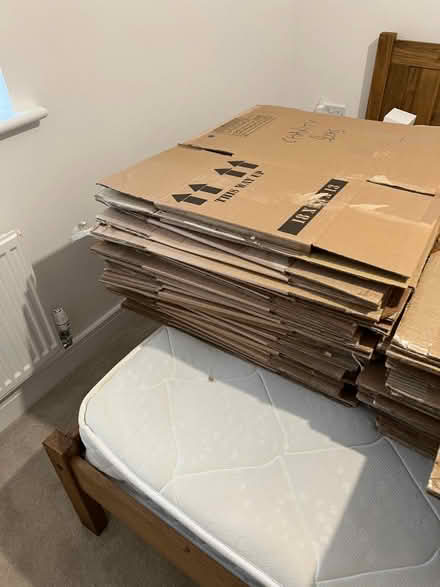 Photo of free Storage Removals Moving Cardboard Boxes - Plenty (Maldon Wick CM9) #3