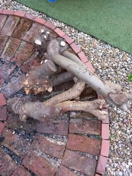 Photo of free Wood (Waldridge Park DH2) #1
