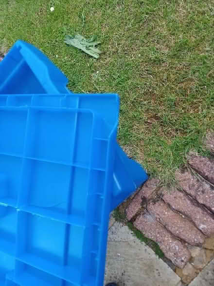Photo of free Storage box (Woodley RG5) #2