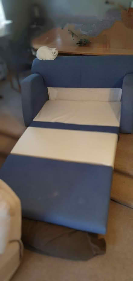Photo of free 2 person sofa bed, blue (Kings Langley) #3