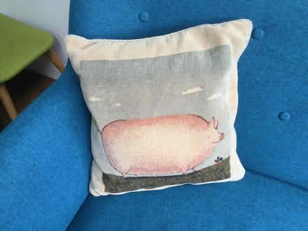 Photo of free Cushions (Harrogate HG1) #3