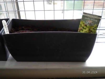 Photo of window box for planting seeds (New Costessey NR5) #2