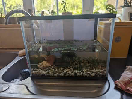 Photo of Small fish tank (Willingham) #1