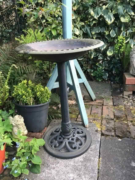 Photo of free Bird Bath - Plastic (Heddon on the Wall NE15) #2