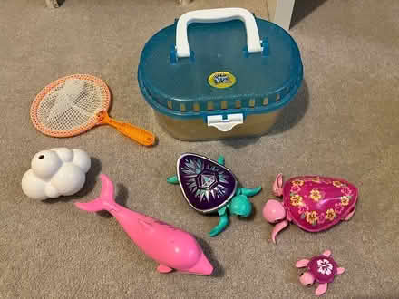Photo of free Bath toys (North chichester) #1