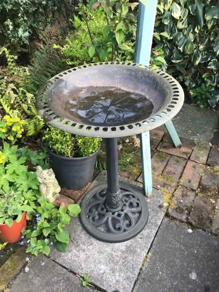 Photo of free Bird Bath - Plastic (Heddon on the Wall NE15) #1