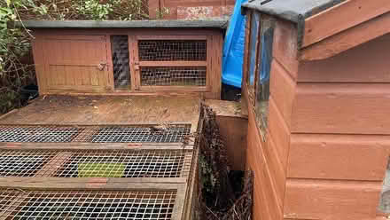 Photo of free Rabbit hutches (AB22) #2
