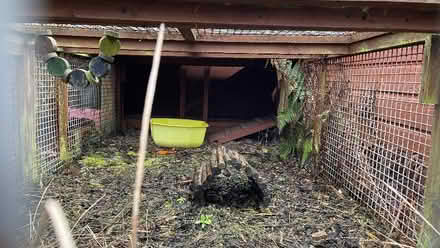 Photo of free Rabbit hutches (AB22) #3