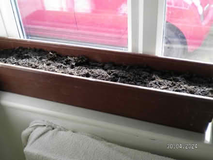 Photo of window box for planting seeds (New Costessey NR5) #1