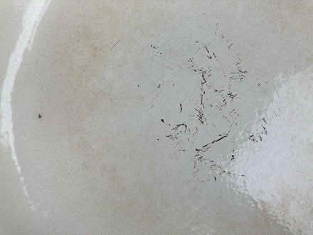 Photo of free Pan with lid (see notes) (Splott CF24) #4