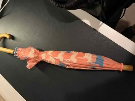 Photo of free Children’s Horse Umbrella (Grandborough CV23) #1