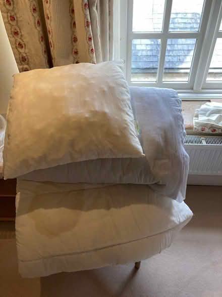 Photo of free Old duvets / Dog bedding? (Thrupp) #1