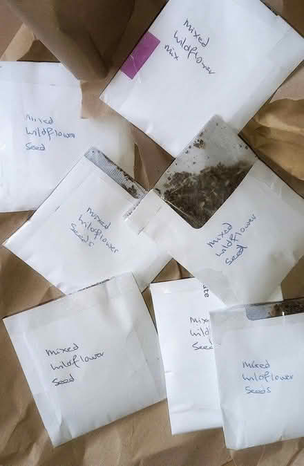 Photo of free Assorted wildflower seeds (Woodley RG5) #1