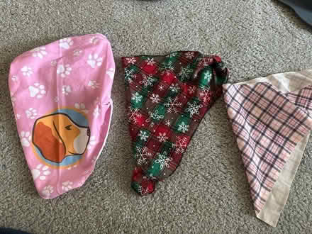 Photo of free Dog stuff (Olney md) #2