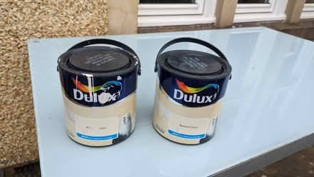 Photo of free Dulux paint - Natural Calico (Holy Corner EH10) #1