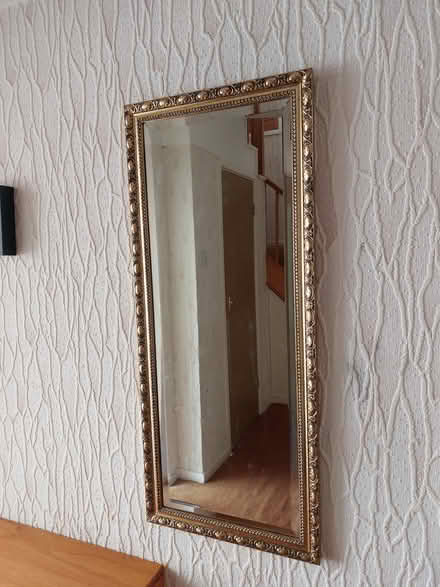 Photo of free Mirror (CH61) #1
