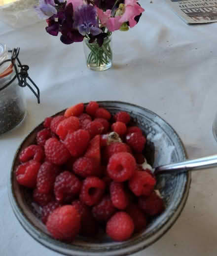 Photo of free Raspberry canes (Cefnsuran Farm LD7) #1